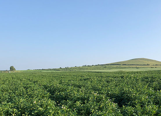 企业核心价值观